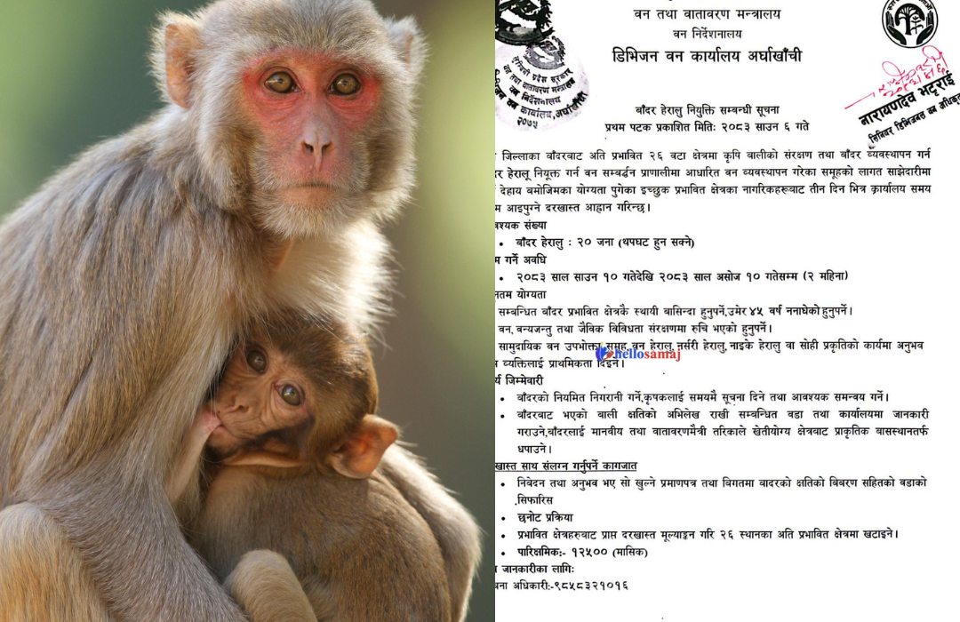 बाँदर नियन्त्रणका लागि अर्घाखाँचीमा २० जना वन हेरालु माग